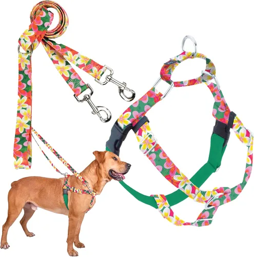 Vista 21 de 2 Hounds Design Freedom - Arnés para perro sin tirones, arnés ajustable y correa, fácil de caminar y control cómodo, se adapta a perros pequeños