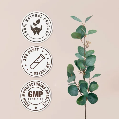 Vista 4 de Extracto de tintura natural sin alcohol de melena de león, refuerzo del sistema inmunológico, gotas líquidas hechas de 100% (2 fl oz)