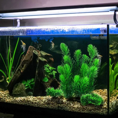 Vista 4 de MyLifeUNIT Plantas de acuario, decoraciones artificiales de acuario para decoración de peceras, paquete de 4