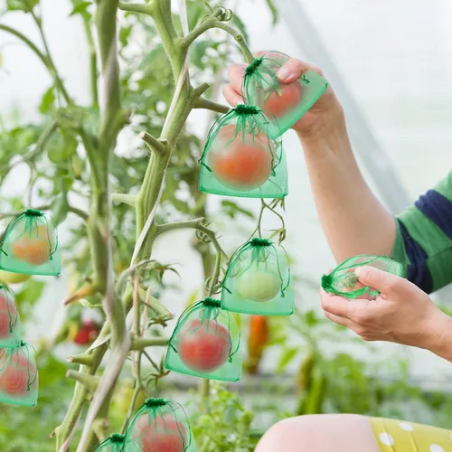 Vista 4 de 100 bolsas de protección de frutas, bolsas de red de frutas para árboles frutales, cubierta de jardín frutal, bolsa de malla de 5 x 7 pulgadas