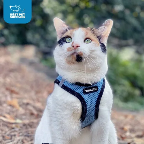 Vista 53 de Best Pet Supplies - Arnés de malla para todo tipo de clima, reflectante, antitirones, para perro y gato pequeño y mediano, con cierre de velcro