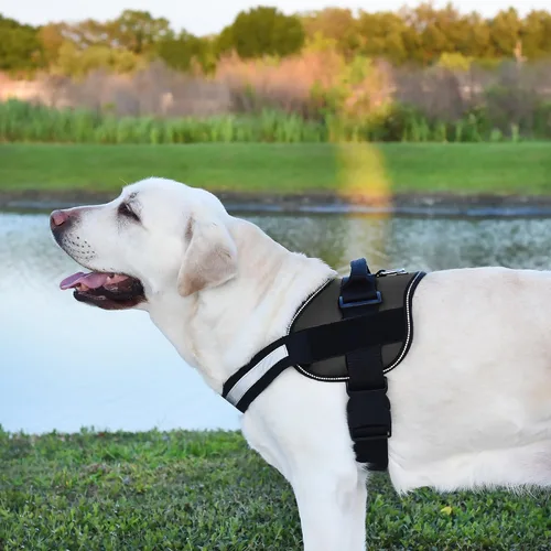Vista 5 de Dogline Arnés para perro, chaleco reflectante ajustable sin tirones con asa para caminar, entrenar, transpirable, arnés sin estrangulamiento