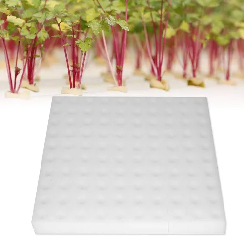 Vista 3 de Focket Esponja hidropónica, 100 esponjas de cultivo hidropónico sin suelo, herramienta de jardinería para plantar, esponjas cuadradas de plántulas