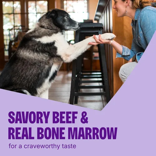 Vista 4 de Wellness CORE Healthy Joints Golosinas suaves para perros, naturales, sin granos, receta de carne, bolsa de 9 onzas