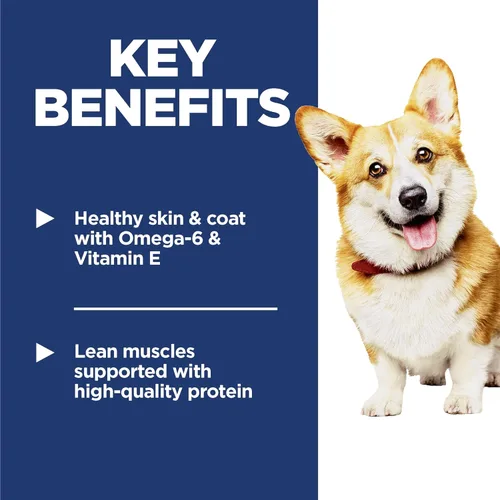 Vista 4 de Hill's Science Diet - Comida seca para perros adultos de 1 a 6 años, nutrición premium, croquetas pequeñas, sabor pollo y cebada, bolsa de 5 libras