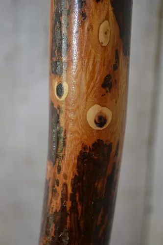 Vista 4 de Creation Carvings - Bastón de senderismo y bastón de nogal, hasta 60 pulgadas de alto