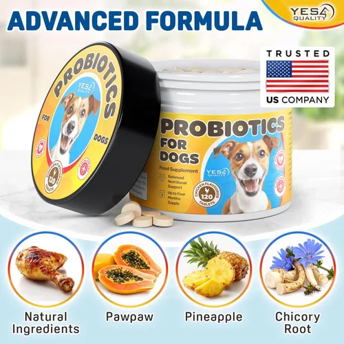 Vista 4 de Probióticos para perros, masticables prebióticos y probióticos para perros, pueden apoyar la inmunidad, la salud digestiva e intestinal, la diarrea
