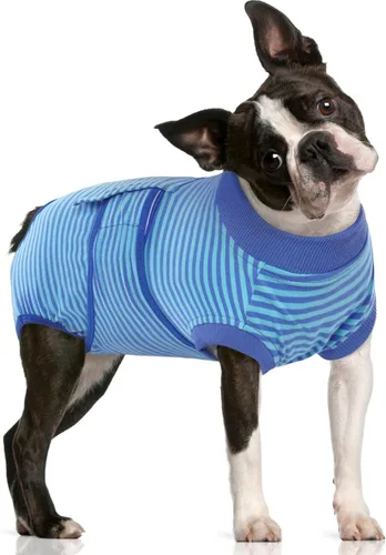 Vista 17 de FUAMEY Traje de Recuperación para Perros Machos, Trajes de Cirugía de Castración para Perros, Camisas de Esterilización para Cachorros Hembra