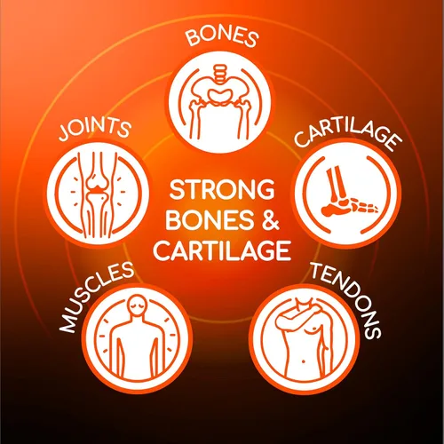 Vista 6 de X RAY Triple Action Suplemento Alimenticio para mejorar la salud de las articulacionescon vitamina D, 60 tabletas