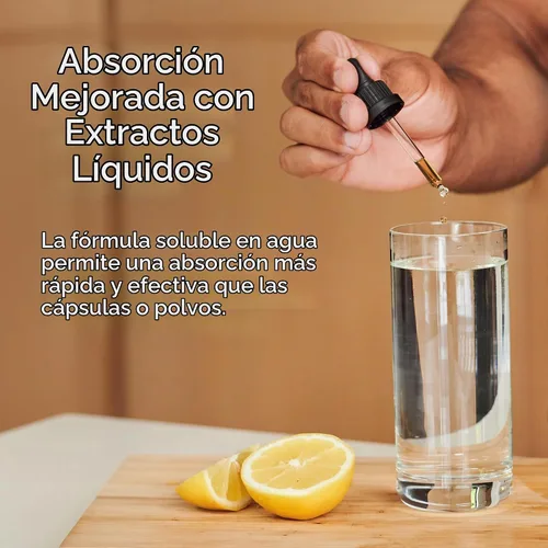 Vista 5 de Zuma Nutrition Candida Support Tonic, líquido de hierbas veganas con clavo, jengibre, ginseng, equinácea y extracto de semilla de uva, suplemento
