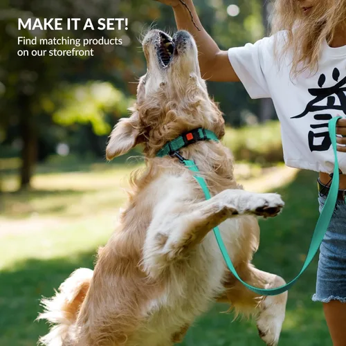 Vista 42 de CollarDirect Reflective Dog Collar for a Small, Medium, Large Dog or Puppy with a Quick Release Buckle - Boy and Girl - Nylon Suitable for Swimming