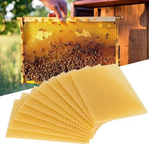 Vista 4 de 10 hojas de cera de abeja natural, hojas de cera de abeja, base de cera, colmenas de abeja, hojas de cera de abejas para hacer velas, muebles