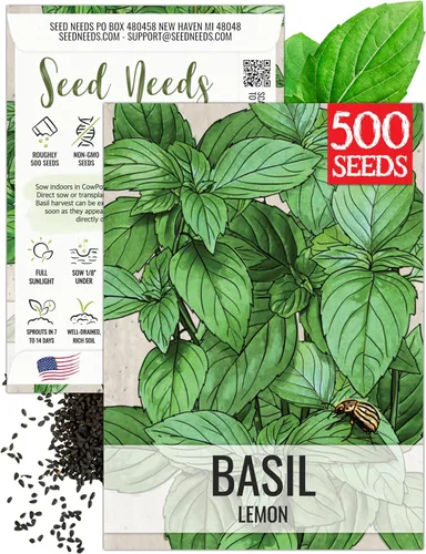 Vista 29 de Seed Needs Sweet Genovese - Semillas de albahaca para plantar, semillas de hierbas culinarias sin OMG y sin tratar para plantar un jardín de cocina