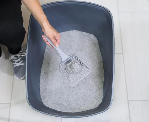Vista 6 de Petmate Sartén para gatos con respaldo alto, fabricado en Estados Unidos