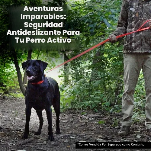 Vista 6 de Collar impermeable para perro con anillo central resistente Collar para perros pequeños, medianos, grandes o XL, Negro