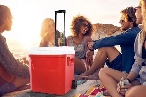 Vista 5 de Mango telescópico para enfriador, compatible con hieleras Igloo Ice Cube y Latitude de 60 cuartos de galón, piezas de repuesto para enfriador