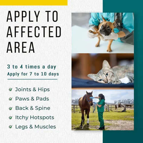 Vista 3 de Real Time Pain Relief Fórmula para mascotas – Botella de spray de 4 onzas Alivio recomendado por veterinarios para mascotas 16 ingredientes