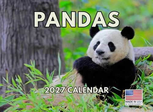 Vista 78 de Calendario de Cocodrilo 2026 Calendario de Pared Mensual 12 Meses Fabricado en Estados Unidos