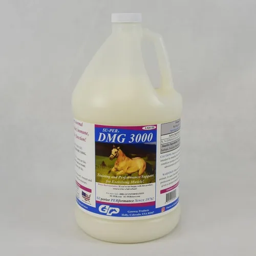 DMG 3000 Suplemento para caballos Líquido de apoyo para entrenamiento y rendimiento Apoya la función normal cardiovascular inmune y muscular 1