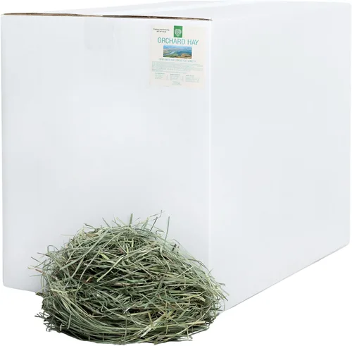 Vista 9 de Small Pet Select Orchard Grass Hay - Alimento para mascotas para conejos, cobayas, chinchillas y otros animales pequeños, heno natural premium