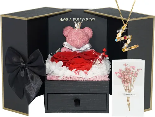 Vista 12 de ADDWel Regalos de Rosa Preservada para Ella - Rosa Real Única y Permanente con Collar "Te Amo" en 100 Idiomas, Regalos de Rosa Eterna para Mujeres