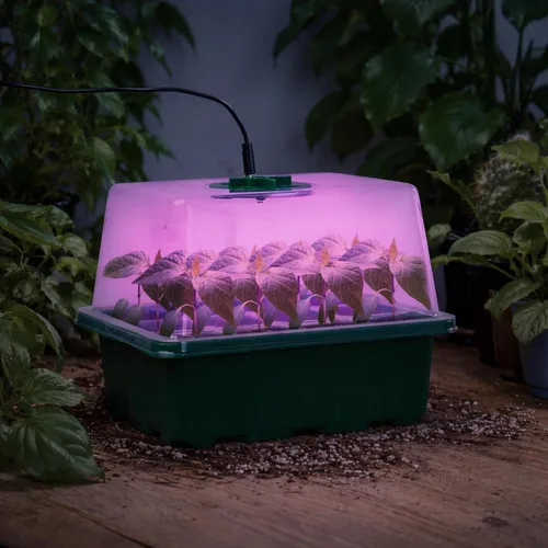 Vista 8 de Bonviee Paquete de 5 bandejas de inicio de semillas con luz para plantas, kits de bandejas de inicio de plántulas elevadas con cúpulas de humedad