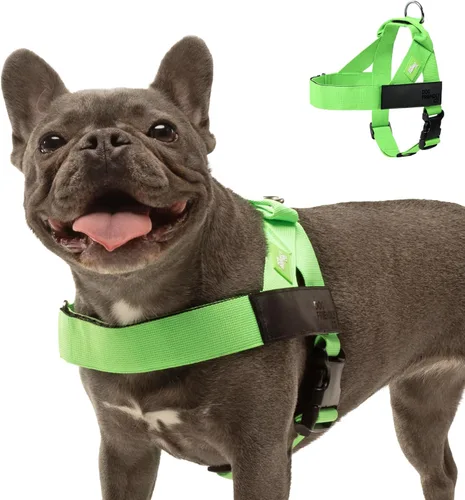 Vista 12 de Arnés para perro Dog Friendly Co Correas resistentes a rozaduras, cuello y pecho ajustables, y anillo en D resistente Resistente, cómodo, fácil