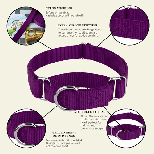 Vista 9 de Country Brook Petz - Collar Martingale para perro - Collar de entrenamiento resistente sin hebilla - Collar para perro de servicio para todas