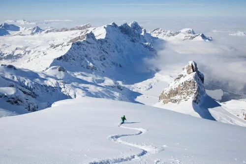 Off Piste Backcountry Skier in Powder Snow Photo Poster Cool Wall Art Print Poster 36x24