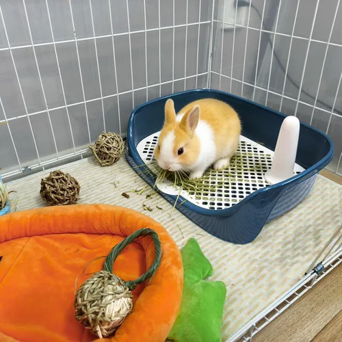 Vista 2 de Tfwadmx Caja de arena para conejillos de indias, bandeja de esquina rectangular para inodoro de animales pequeños, para hurón, chinchilla