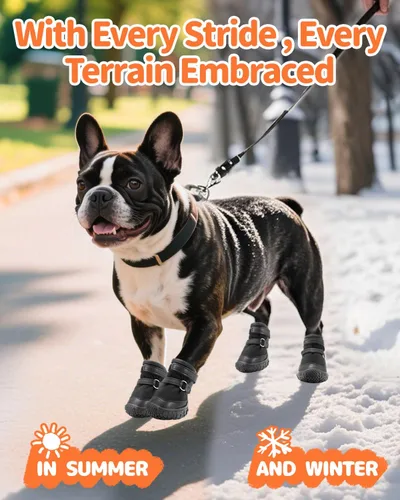 Vista 4 de Petanims Zapatos para perros pequeños, correas de doble encuadernación, botas para cachorros y protectores de patas para pavimento caliente de Negro