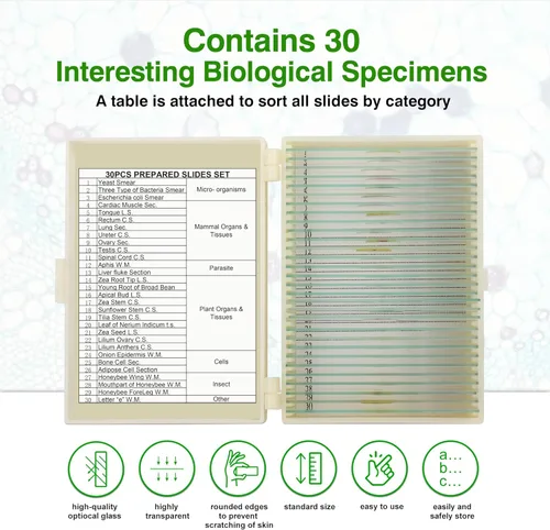Vista 4 de 30 portaobjetos de microscopio con muestras para niños, diapositivas de microscopio preparadas para niños, diapositivas preparadas de vidrio