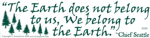 AzureGreen The Earth Does Not Belong to Us, We Belong to The Earth - Chief Seattle - Adhesivo para parachoques (11.5 x 3 pulgadas)