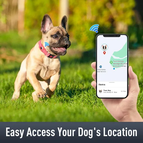 Vista 2 de Airtag - Collar de perro para perros pequeños, collares reflectantes con soporte para AirTag, hebilla de bloqueo de seguridad acolchada suave