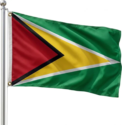Vista 102 de DMSE - Bandera nacional beninesa beninesa de la República de África Occidental, 2 x 3 pies, 100 % poliéster, 100 % poliéster, resistente a los rayos