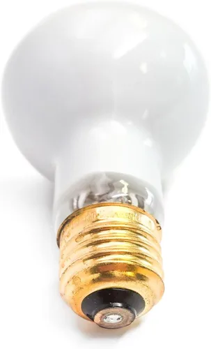 Vista 6 de Bombilla de lámpara de lava de 100 W, 100 vatios, 125 voltios, tipo R, R20, base mediana grande y más