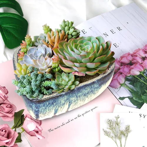 Vista 7 de Maceta de terracota esmaltada de 6.5 pulgadas y 4.5 pulgadas para suculentas, maceta grande con orificio de drenaje, maceta de cactus de cerámica