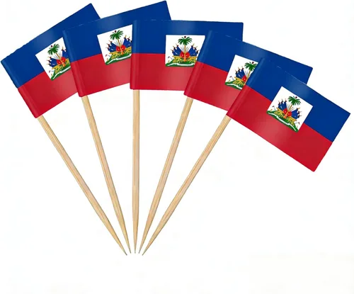 Vista 33 de AhfuLife Palillo de dientes con bandera de Argentina, 100 piezas de palillos de cóctel de Argentina, adornos para cupcakes argentinos