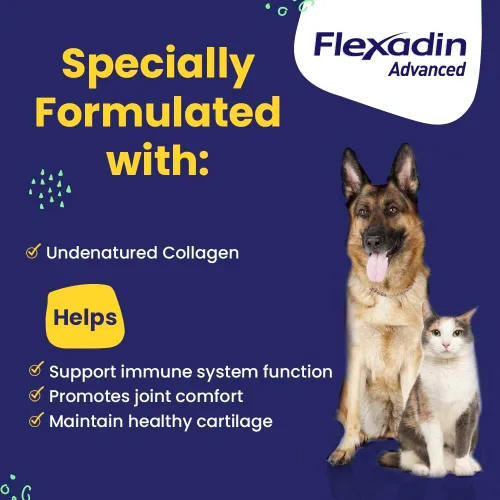 Vista 3 de Vetoquinol Flexadin Advanced Suplemento para Cadera y Articulaciones de Perros con Colágeno No Denaturalizado, Una Masticable al Día para Apoyo