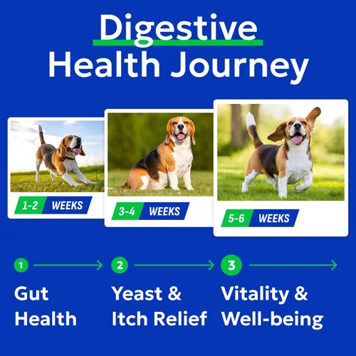 Vista 6 de Bark&Spark Vet Strength - Probióticos masticables para perros, 60 mil millones de UFC por frasco, enzimas digestivas para la salud intestinal