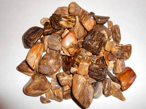 Vista 4 de Rock Tumbler - Kit de recambio de gemas Cameron, Texas Petrified Wood Tumbling Rough 8oz