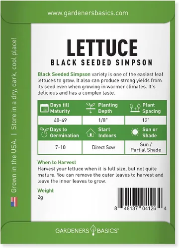 Vista 2 de Gardeners Basics, Semillas de lechuga Green Leaf para plantar – (variedad Simpson de semillas negras), variedad de lechuga sin OMG, 0.07 oz
