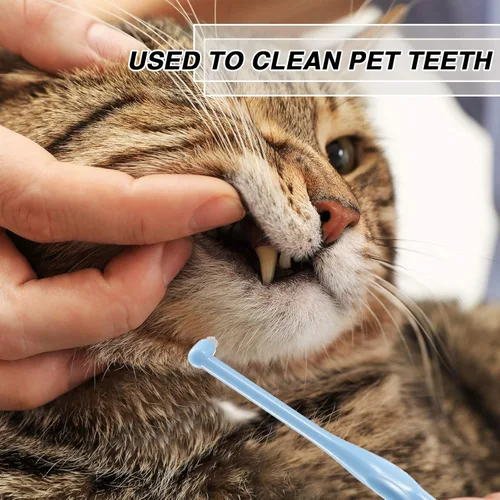 Vista 5 de Patelai 6 piezas de cepillo de dientes con mechón de extremo, cepillo de dientes interdental suave, removedor de manchas de dientes para implantes