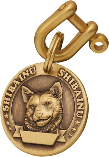 Vista 61 de Etiquetas de identificación para perros de latón macizo con grabado de letras, patrón de alivio 3D frontal, texto personalizado grabado láser