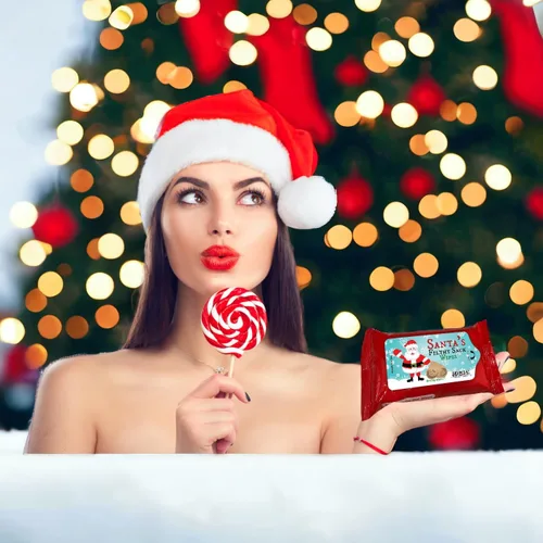 Vista 3 de Santa's Filthy Sack Wipes - Toallitas húmedas navideñas para amigos, tamaño de bolsillo, sin alcohol