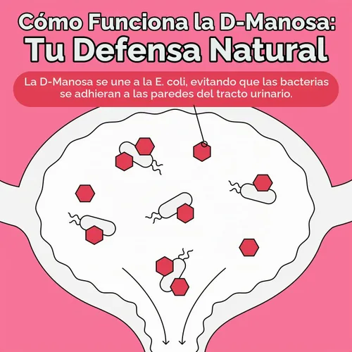Vista 4 de Probulin Total Care - Tracto urinario para mujeres = prebióticos + probióticos + postbióticos para apoyar un microbioma vaginal saludable - 20 mil