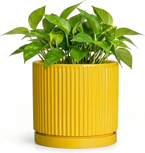Vista 48 de 8 Inch Flower Pot, Ceramic Planters, Round Plant Pot, Beige