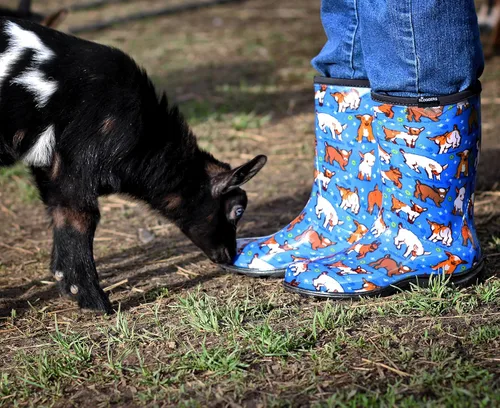 Vista 4 de Sloggers Botas de lluvia de jardín impermeables para mujer, bonitas botas de barro y mugre a media pantorrilla con plantilla de apoyo cómoda