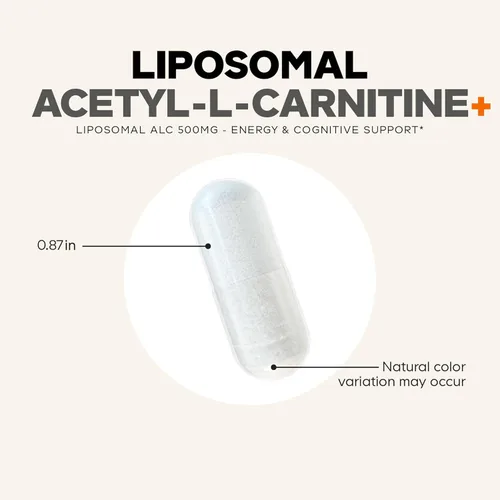 Vista 8 de Codeage Suplemento liposomal de acetil-L-carnitina + - 500 mg de acetil-L-carnitina por porción - Suministro para 3 meses, entrega liposomal