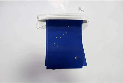 Vista 174 de Guatemala 19.7 ft BUNTING Flag 20 banderas 9'' x 6'' - Banderas de cuerda guatemalteca 5.9 x 8.3 in - AZ FLAG